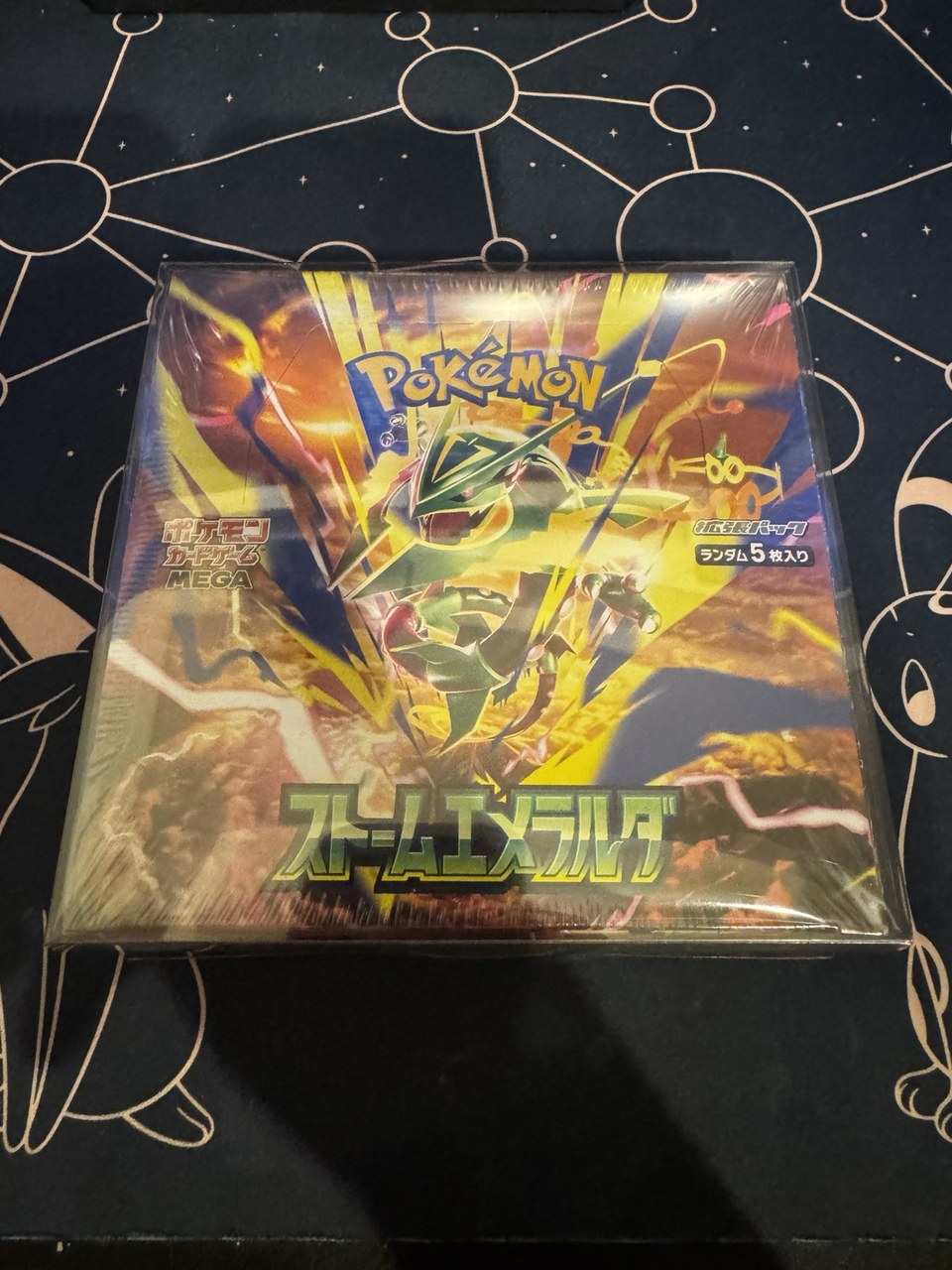 透明なローダーに収納したポケカの未開封BOXを上から見た様子